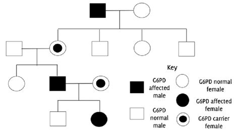 g6pd inheritance pattern.